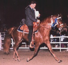 "Uncle Albert"    Victory Pass at Ava
