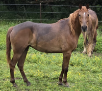 This Girl Is On Fire