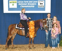 Legend’s Hail Mari and Dawn NBC 4 Year Old Amateur Champion