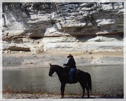 foxtrotter trail riding