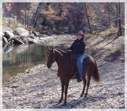 Care Bear on Buffalo River