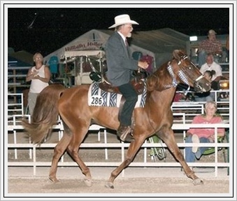 Bolero, ridden by Jim Woodward.