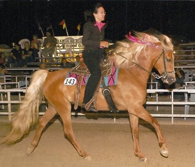 That Golden Girl, Missouri Foxtrotting Horse